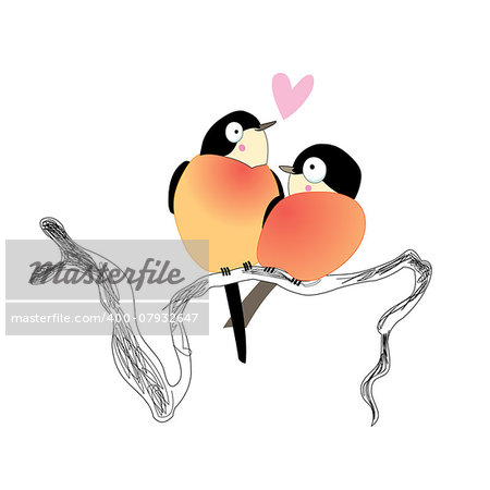 Birds in love on a white background