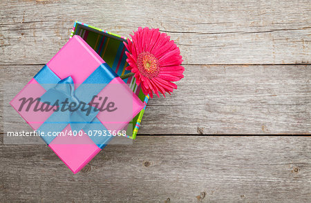 Purple gerbera flower in gift box on wooden table with copy space