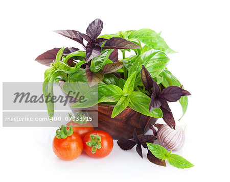 Fresh farmers tomatoes and basil. Isolated on white background