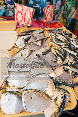 Fish for sale at the public market, Dumaguete, Cebu, The Visayas, Philippines, Southeast Asia, Asia Fish for sale at the public market, Dumaguete, Cebu, The Visayas, Philippines, Southeast Asia, Asia