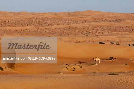 Wahiba Sands desert, Oman, Middle East