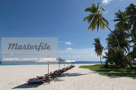 Sun loungers on the beach on an island in the Northern Huvadhu Atoll, Maldives, Indian Ocean, Asia