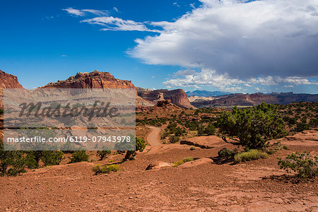 Red sandstone cliffs in the Capitol Reef National Park, Utah, United States of America, North America