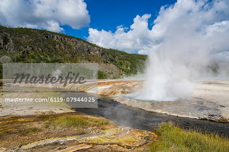 Cliff Geyser erupting in the Black Sand Basin, Yellowstone National Park, UNESCO World Heritage Site, Wyoming, United States of America, North America