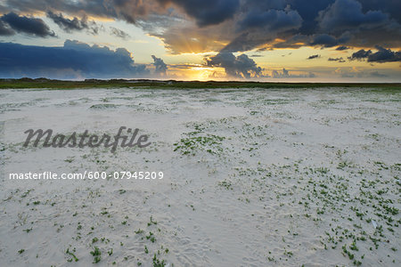 Landscape of Dunes at Sunrise, east Norderney, Summer, Norderney, East Frisia Island, North Sea, Lower Saxony, Germany