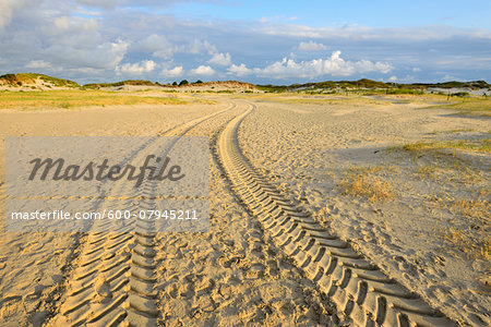 Lane in Landscape of Dunes east Norderney, Summer, Norderney, East Frisia Island, North Sea, Lower Saxony, Germany