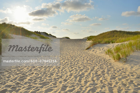 Path through the Dunes to the Beach with Sun, Summer, Norderney, East Frisia Island, North Sea, Lower Saxony, Germany