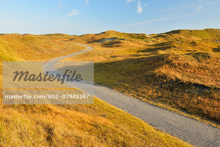 Dunes Cycleway in Summer, Norderney, East Frisia Island, North Sea, Lower Saxony, Germany