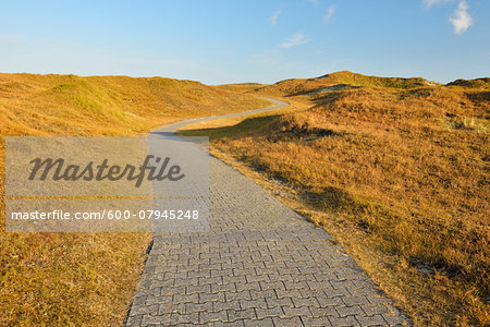 Dunes Cycleway in Summer, Norderney, East Frisia Island, North Sea, Lower Saxony, Germany