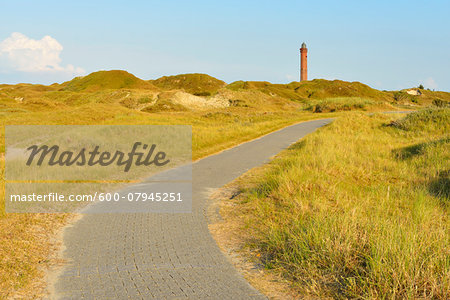 Dunes Cycleway with Lighthouse in Summer, Norderney, East Frisia Island, North Sea, Lower Saxony, Germany