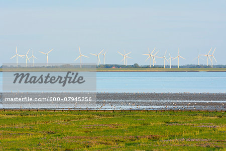 Marshland with North Sea and Wind Turbines, Norderney, East Frisia Island, North Sea, Lower Saxony, Germany Marshland with North Sea and Wind Turbines, Norderney, East Frisia Island, North Sea, Lower Saxony, Germany