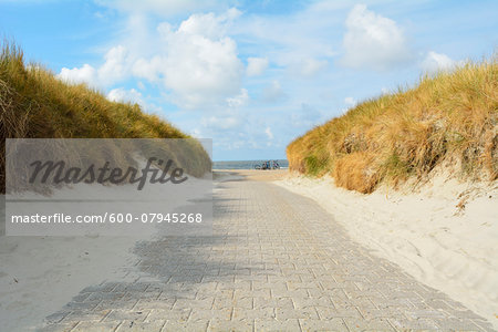 Path through the Dunes to the Beach, Summer, Norderney, East Frisia Island, North Sea, Lower Saxony, Germany