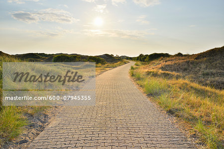 Dunes Path with Sun in Summer, Norderney, East Frisia Island, North Sea, Lower Saxony, Germany