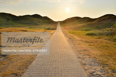 Dunes Path with Sun in Summer, Norderney, East Frisia Island, North Sea, Lower Saxony, Germany