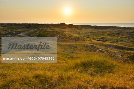 View over Dunes at Sunset, Norderney, East Frisia Island, North Sea, Lower Saxony, Germany View over Dunes at Sunset, Norderney, East Frisia Island, North Sea, Lower Saxony, Germany