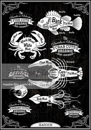 vector set of diagram cut carcasses seafood