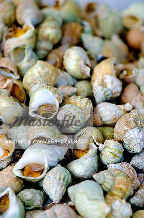 A pile of whelks at a market