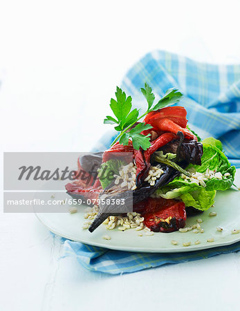 Grilled vegetable salad with barley