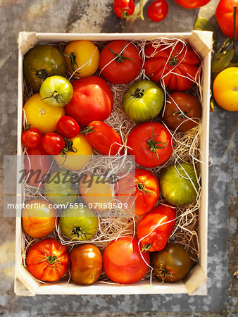 A crate of colourful tomatoes