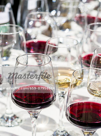 Glasses of red and white wine for a wine tasting session at the annual wine festival in Tbilisi (Georgia) Glasses of red and white wine for a wine tasting session at the annual wine festival in Tbilisi (Georgia)