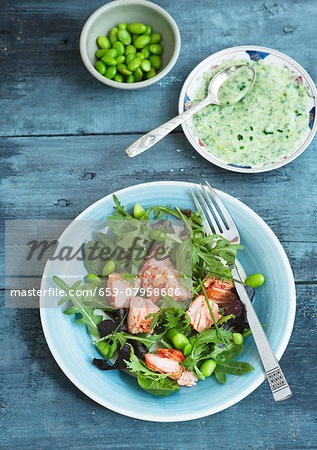 Mixed leaf salad with hot smoked salmon, broad beans, soya beans, chives and a herb dressing