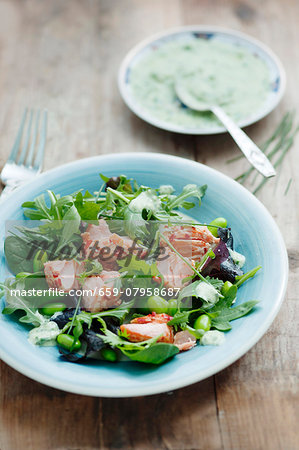 A mixed leaf salad with hot smoked salmon, broad beans, soya beans, chives and a herb dressing A mixed leaf salad with hot smoked salmon, broad beans, soya beans, chives and a herb dressing