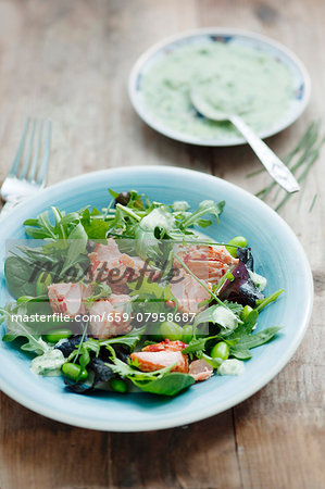 A mixed leaf salad with hot smoked salmon, broad beans, soya beans, chives and a herb dressing