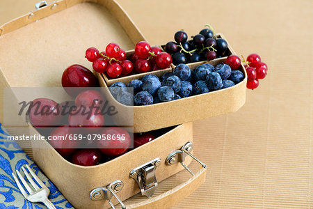 Cherries, blueberries, redcurrants and blackcurrants in a small suitcase