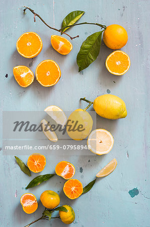 An arrangement of citrus fruits