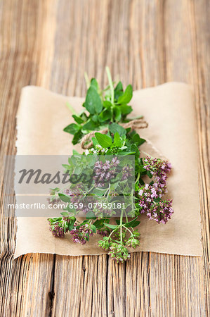 A bunch of fresh, organic oregano A bunch of fresh, organic oregano