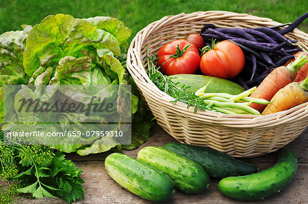 Summer garden harvest: lettuce, cucumber, dill, parsley, savory, beans, carrots and tomatoes Summer garden harvest: lettuce, cucumber, dill, parsley, savory, beans, carrots and tomatoes