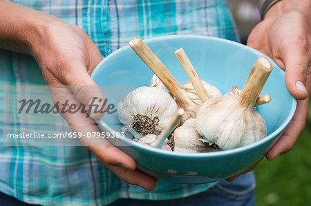 A girl holding self-picked garlic in a blue bowl