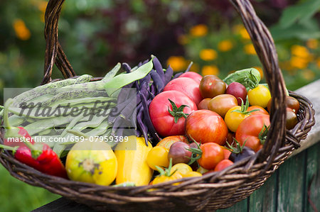 A large harvesting basket in a vegetable garden