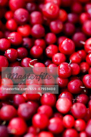 Cranberries (full frame)