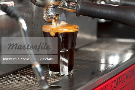 Espresso Pouring From Machine into Two Glasses Espresso Pouring From Machine into Two Glasses