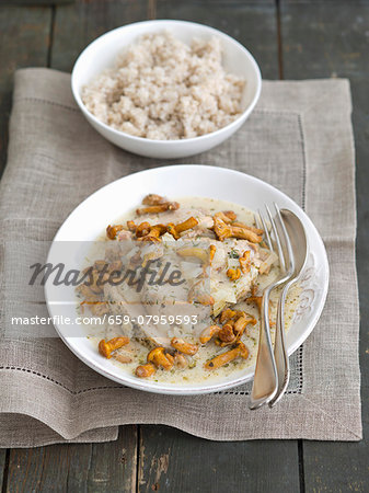 Pork loin in a creamy mushroom sauce with chanterelle mushrooms