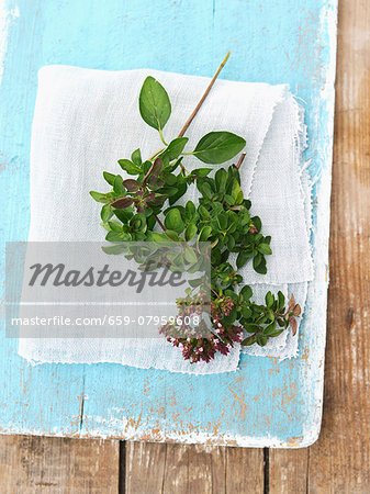 Fresh oregano on a blue wooden board Fresh oregano on a blue wooden board