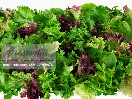 Mixed lettuce leaves (seen from above)