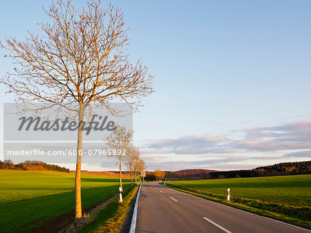 Highway through Weser Hills, North Rhine-Westphalia, Germany