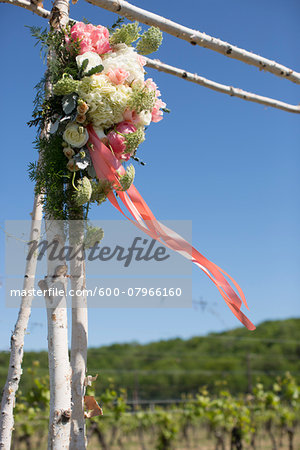 Flowers on Wooden Archway for Wedding, Niagara-on-the-Lake, Ontario, Canada