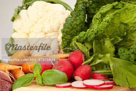 fresh bio vegetable carrot, radish and salad.