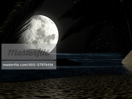 A tropical beach at night moonlight under starry sky, with palm trees.