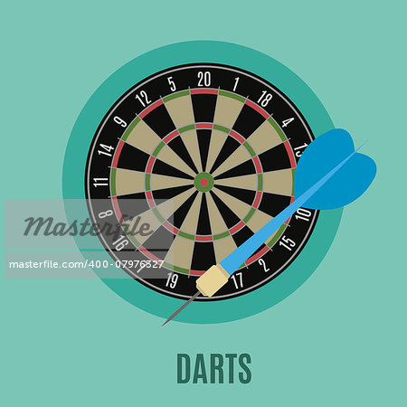 Darts. Classic  Board with Twenty Sectors, flat icon