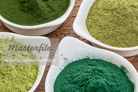 four healthy green dietary supplement powders (spirulina, chlorella, wheatgrass and moringa leaf) in white bowls
