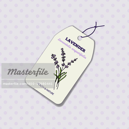 Health and Nature Collection. Label template with a herb on spotted seamless background. Lavender -  Lavandula angustifolia
