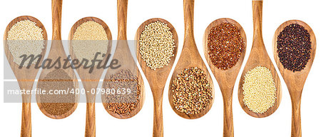 a variety of gluten free grains (buckwheat, amaranth, brown rice, millet, sorghum, teff, black, red and white quinoa) on wooden spoons isolated on white