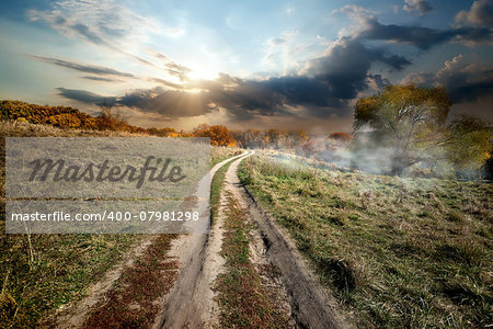 Fog over country road in a countryside