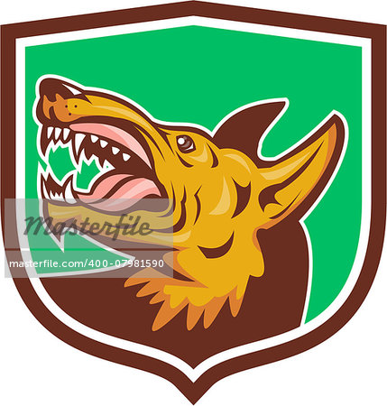 Illustration of an angry wild dog looking up showing fangs viewed from the side set inside shield crest on isolated background done in retro style.