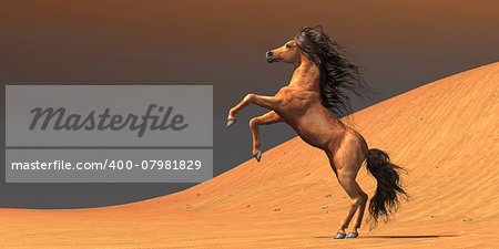 A wild Arabian mare rears up in a desert environment full of red sand dunes.