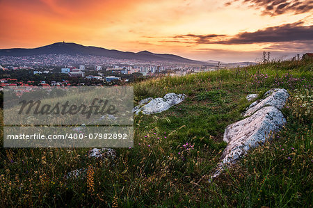 Village under a Hill at Sunset. Meadow with Flowers and Rocks in Foreground.